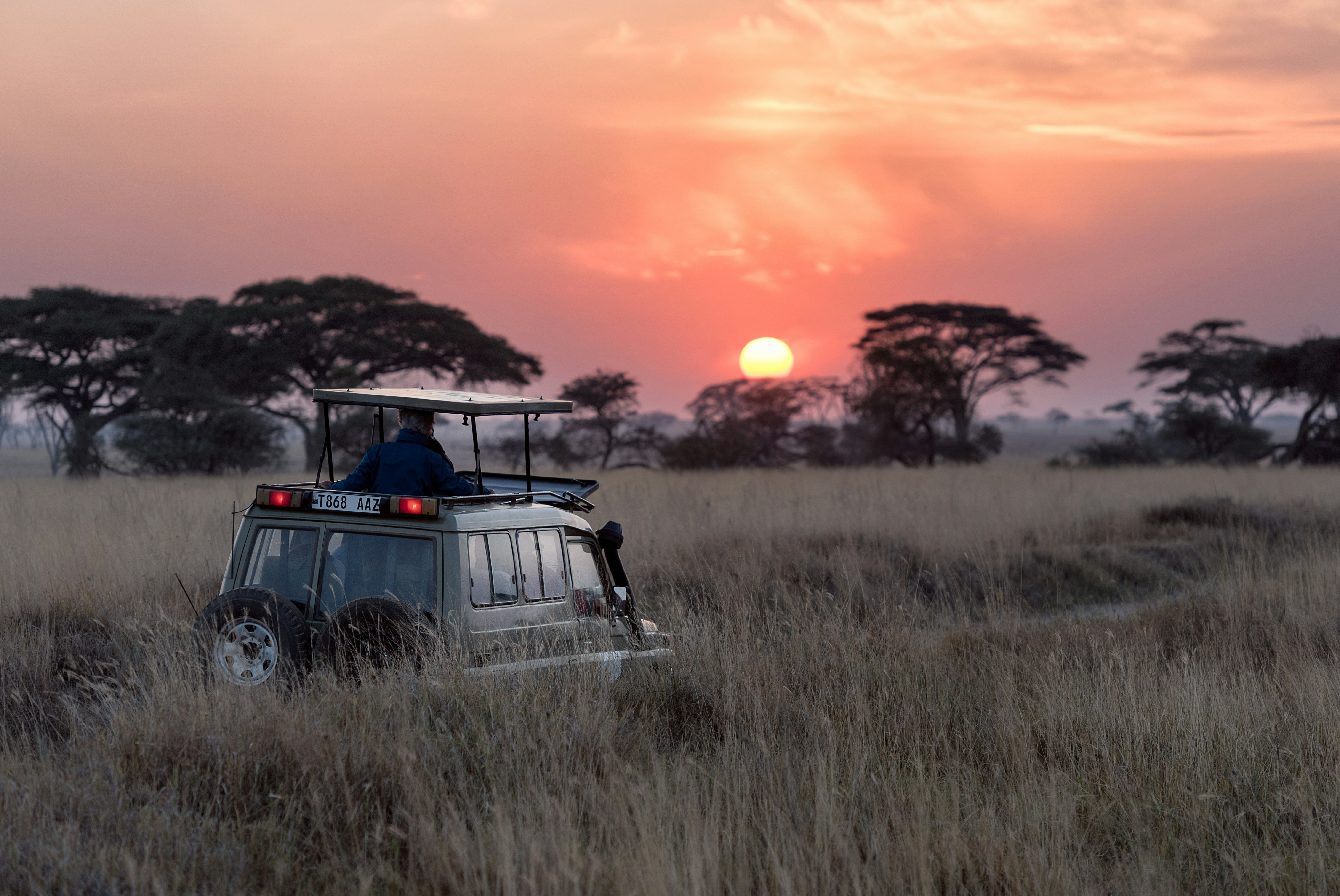 Safari Afrika | Xtreme Adventures