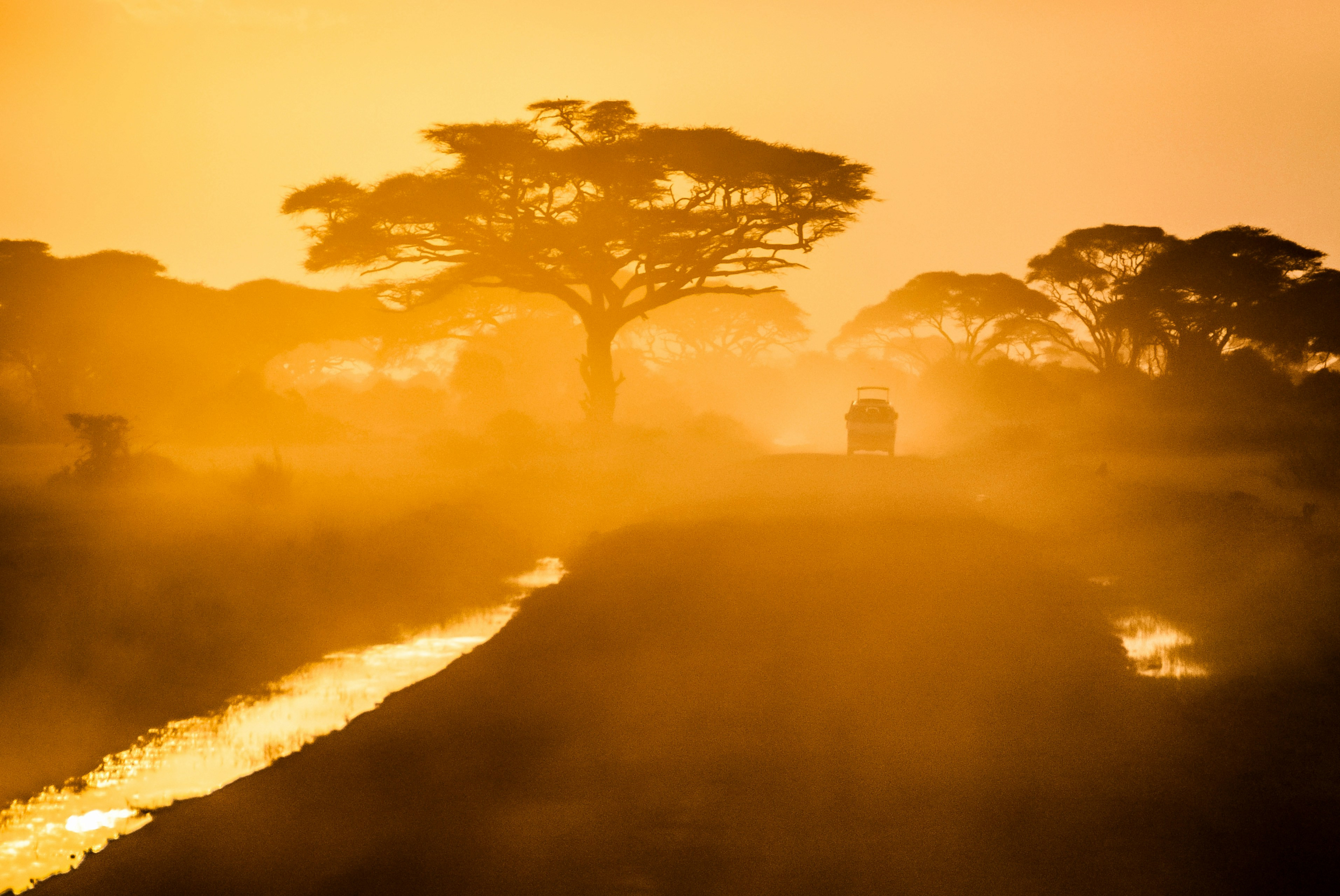 Safari Afrika | Xtreme Adventures